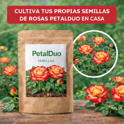 PetalDuo | Semillas de Rosa DuoColor