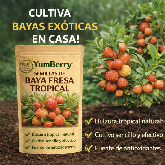 YumBerry: Semillas de Baya Fresa tropical