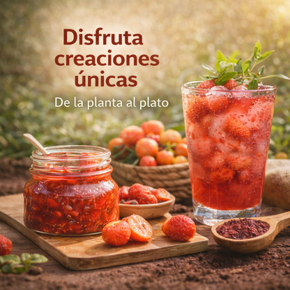 YumBerry: Semillas de Baya Fresa tropical