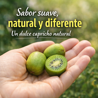 MiniGreen: Semillas de Mini Kiwis