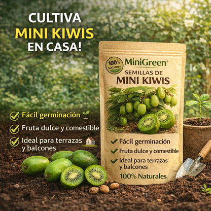 MiniGreen: Semillas de Mini Kiwis