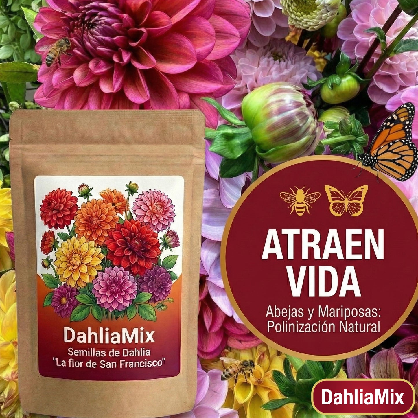 DahliaMix: Semillas de Dahlia "La flor de San Francisco"
