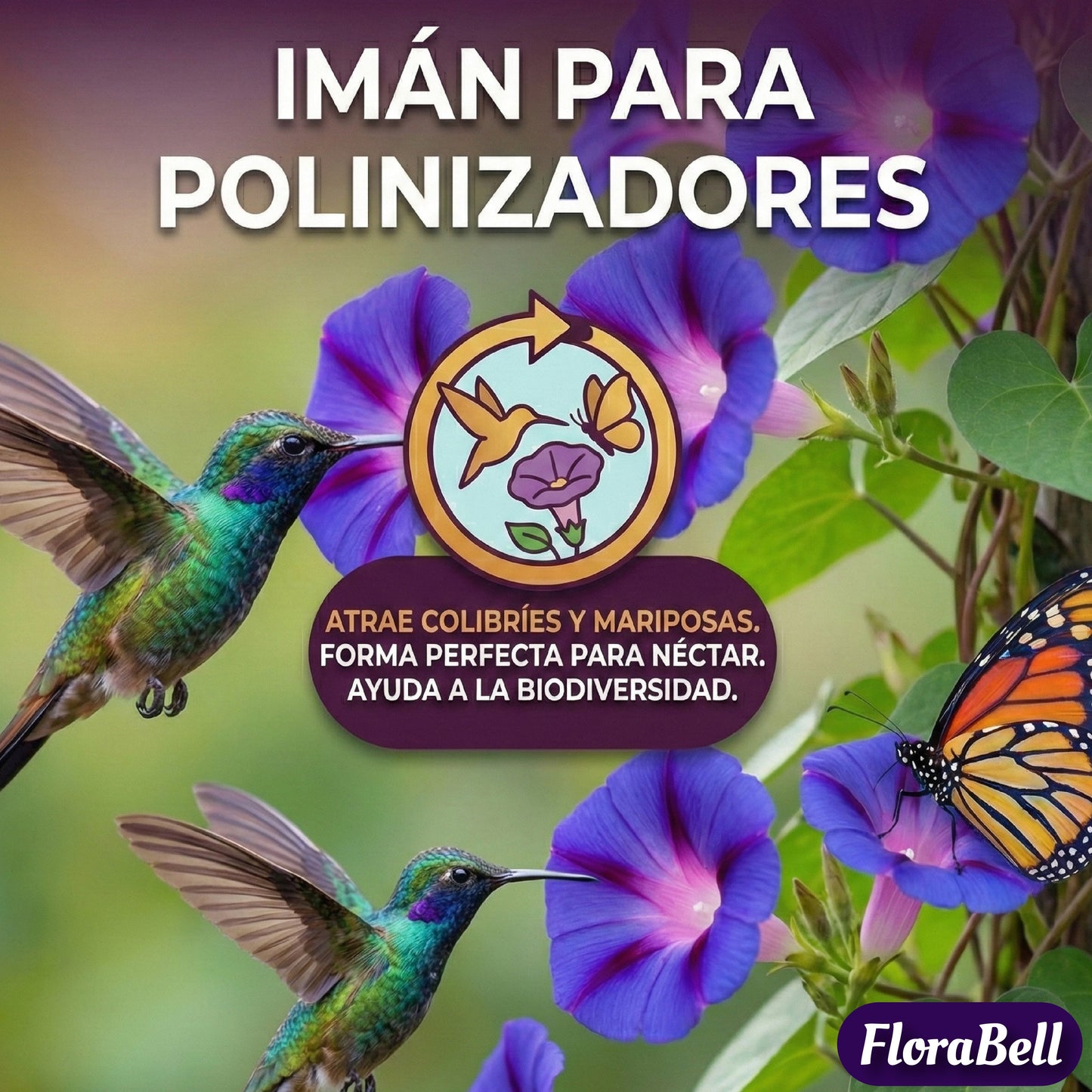 FloraBell | Semillas de Campanilla Trepadora de Floración Rápida