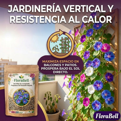 FloraBell | Semillas de Campanilla Trepadora de Floración Rápida