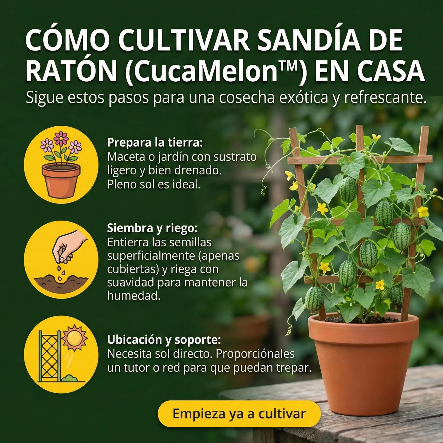 CucaMelon™ – Semillas de Sandía de ratón