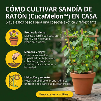 CucaMelon™ – Semillas de Sandía de ratón
