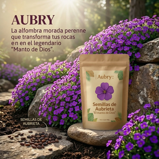 Aubry: Semillas de Aubrieta "El manto de Dios"