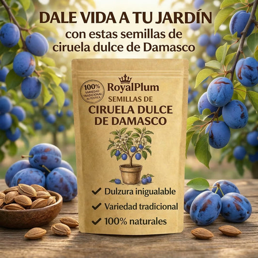 RoyalPlum: Semillas de Ciruela dulce de Damasco