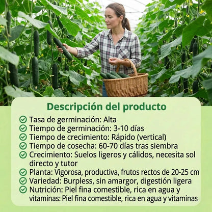 Green King – Semillas de Pepino Gourmet Extra Largo