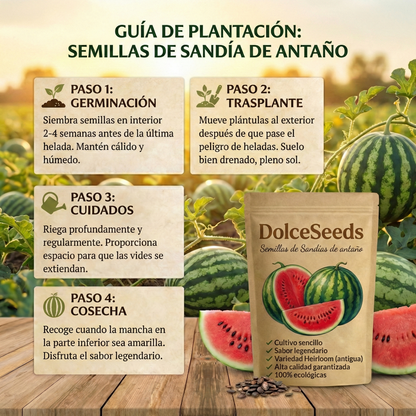DolceSeeds: Semillas de Sandías de antaño