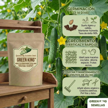 Green King – Semillas de Pepino Gourmet Extra Largo