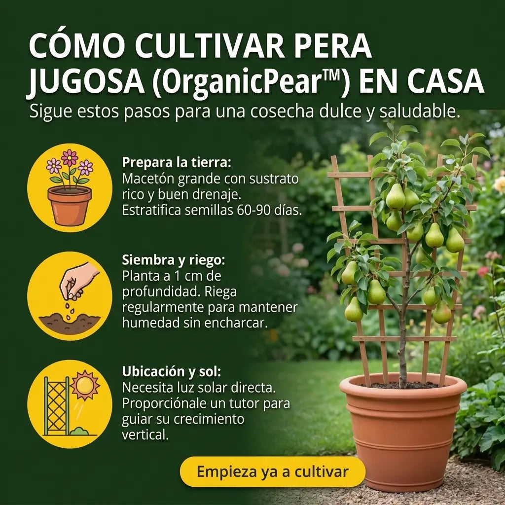 OrganicPear™ – Semillas de Pera Jugosa