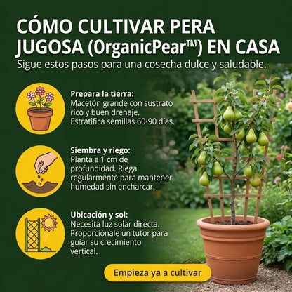 OrganicPear™ – Semillas de Pera Jugosa