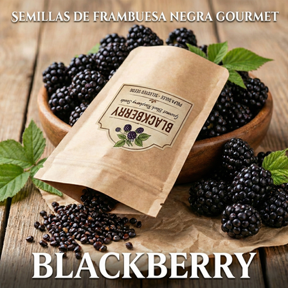 BlackBerry | Semillas de Frambuesa Negra Gourmet de Pulpa Dulce