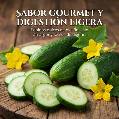 Green King – Semillas de Pepino Gourmet Extra Largo