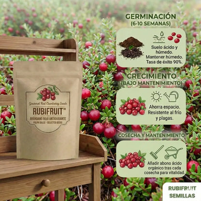 RubiFruit | Semillas de Arándano Rojo Antioxidante