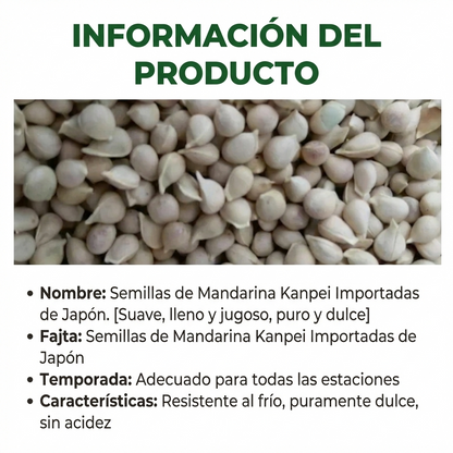 Kanpei | Semillas de Naranja Dulce Japonesa
