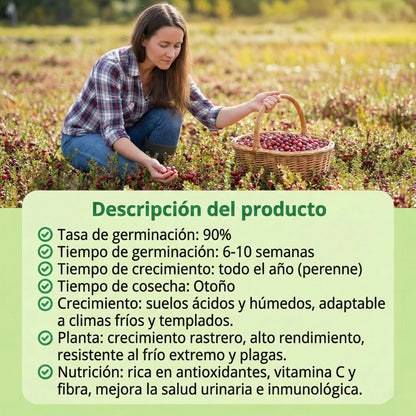 RubiFruit | Semillas de Arándano Rojo Antioxidante