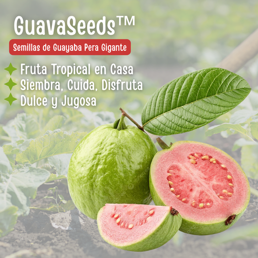 GuavaSeeds™ – Semillas de Guayaba Pera Gigante