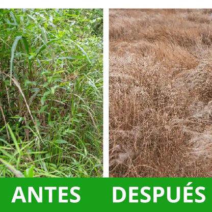 GreenClear™ – Eliminador de Hierbas y Maleza