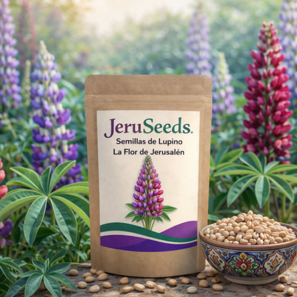 JeruSeeds | Semillas de Lupino "La Flor de Jerusalén"