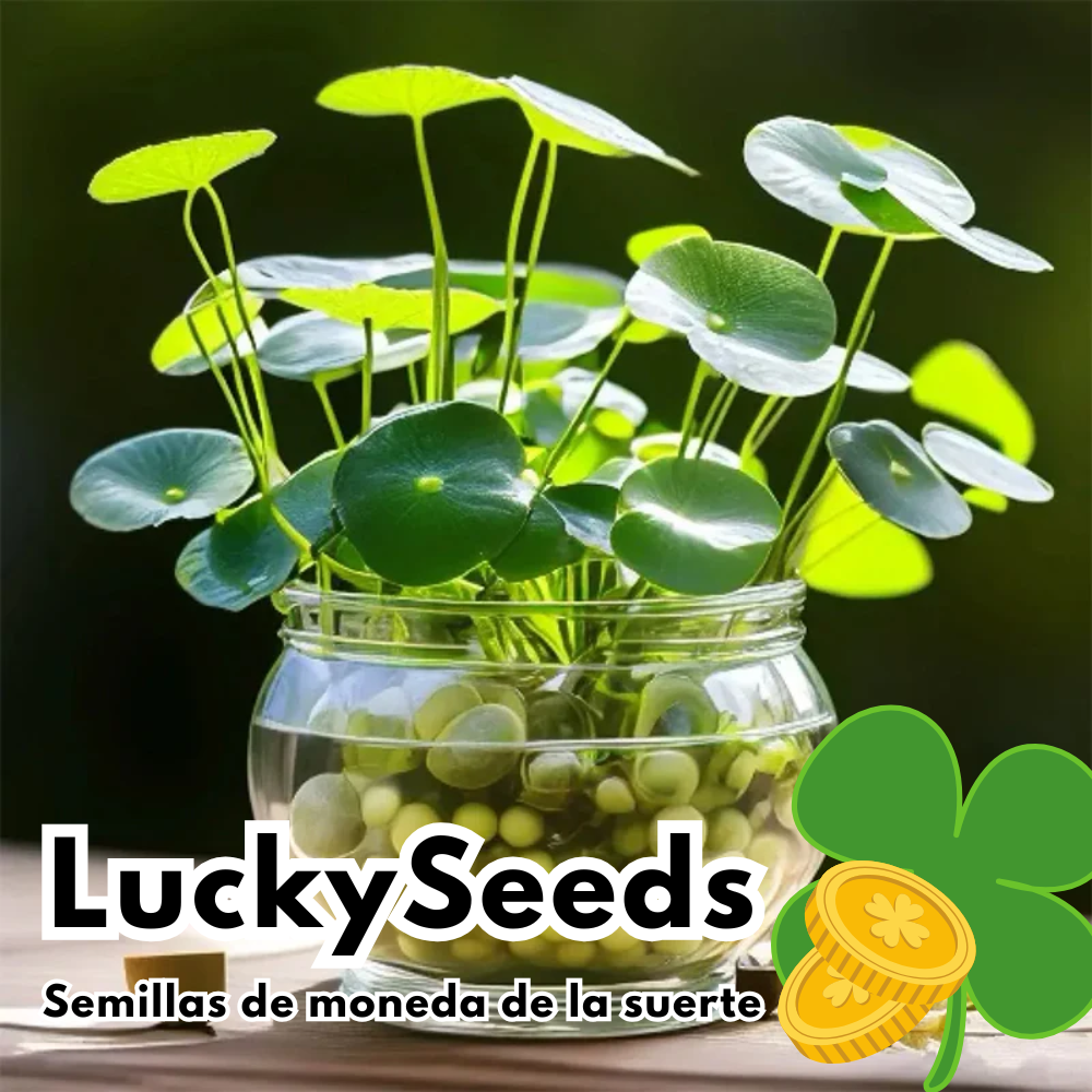 LuckySeeds: Semillas de Moneda de la Suerte