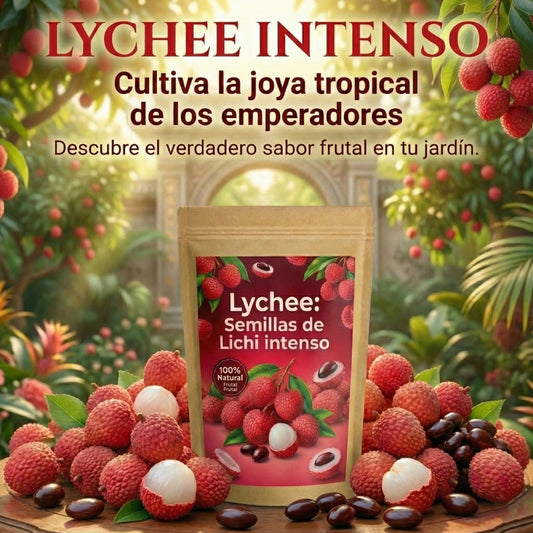Lychee: Semillas de Lichi intenso