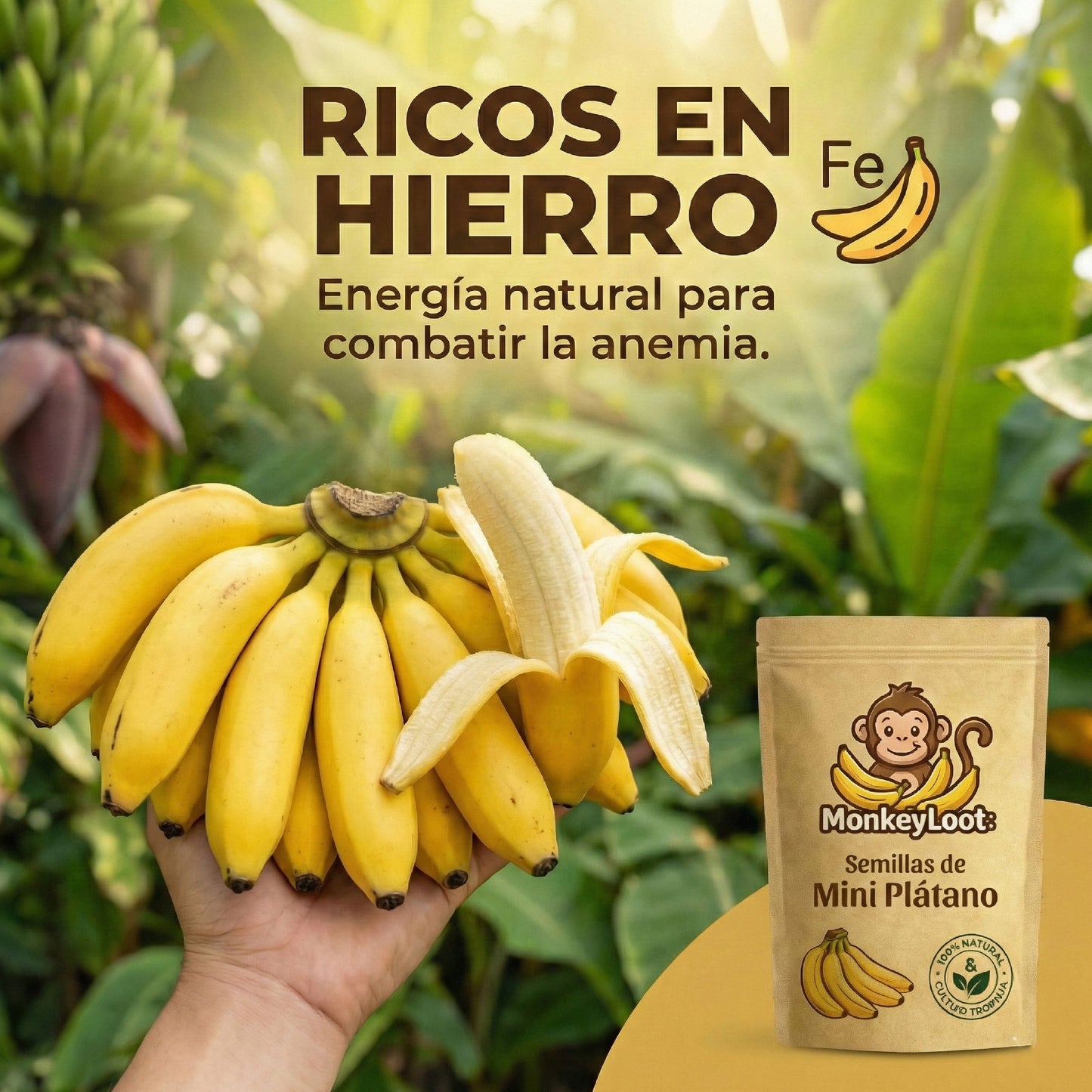 MonkeyLoot: Semillas de Mini Plátano