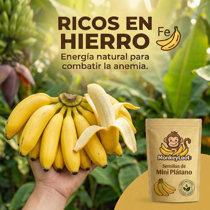 MonkeyLoot: Semillas de Mini Plátano