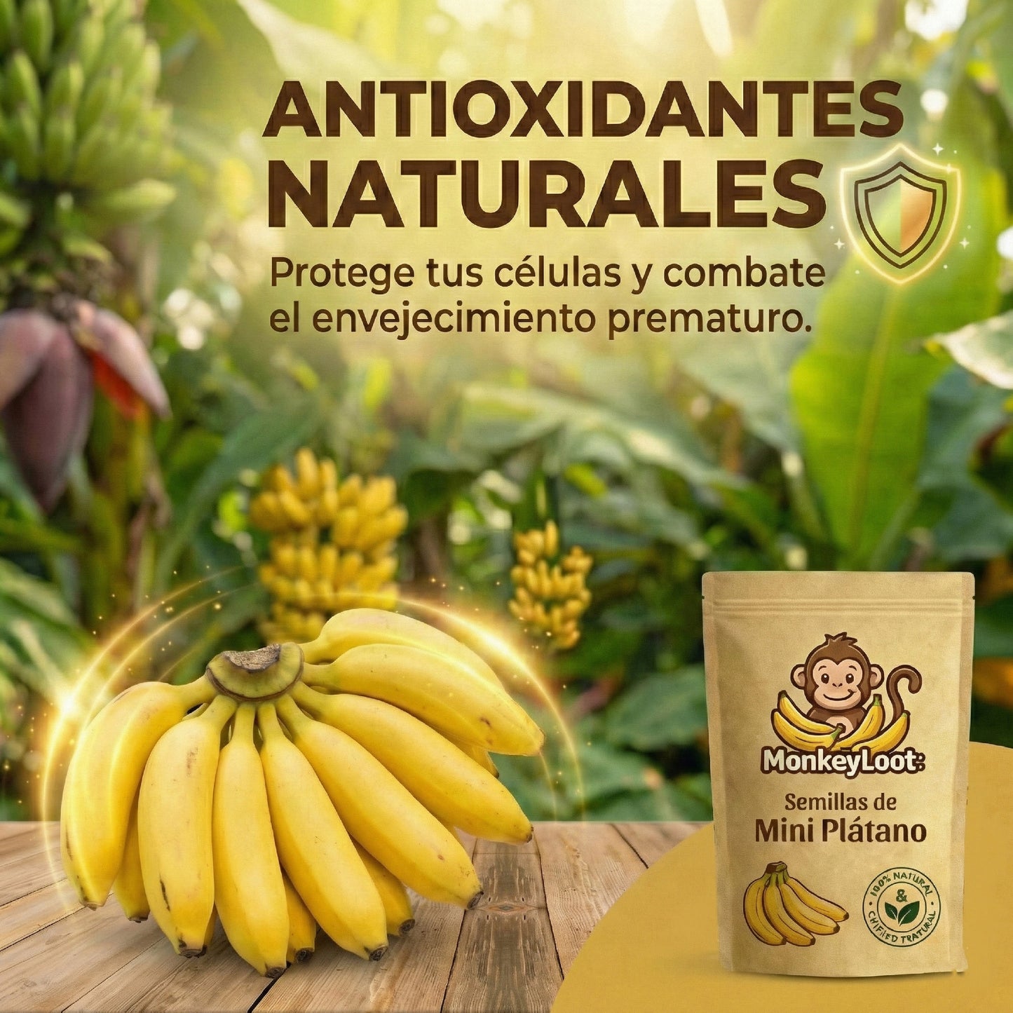 MonkeyLoot: Semillas de Mini Plátano