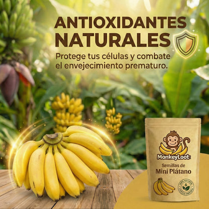 MonkeyLoot: Semillas de Mini Plátano