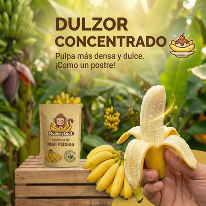 MonkeyLoot: Semillas de Mini Plátano