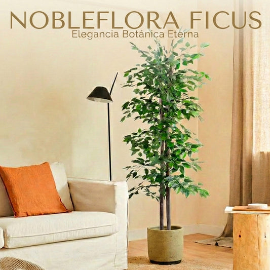 NobleFlora Ficus: Elegancia botánica eterna