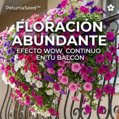 PetuniaSeed™ – Semillas de Petunia Péndula de los Balcones