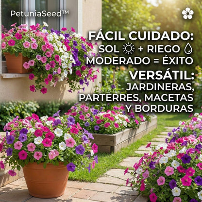 PetuniaSeed™ – Semillas de Petunia Péndula de los Balcones