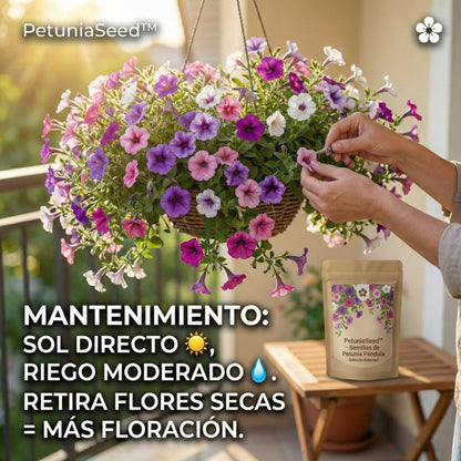 PetuniaSeed™ – Semillas de Petunia Péndula de los Balcones