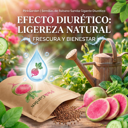 PinkGarden | Semillas de Rábano Sandía Gigante Diurético