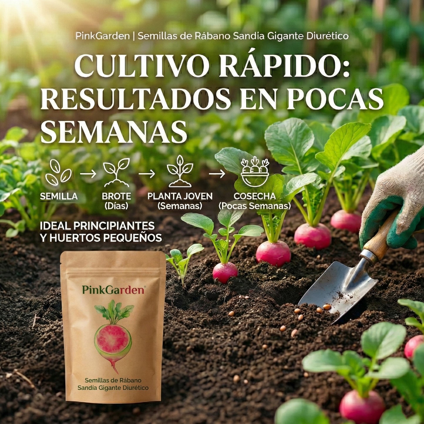 PinkGarden | Semillas de Rábano Sandía Gigante Diurético