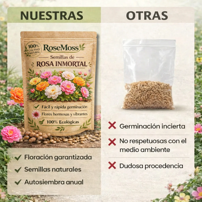 RoseMoss: Semillas de Rosa Inmortal