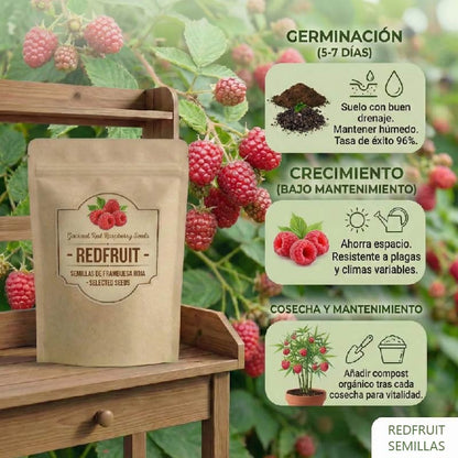 RedFruit | Semillas de Frambuesa Roja Premium de Pulpa Jugosa