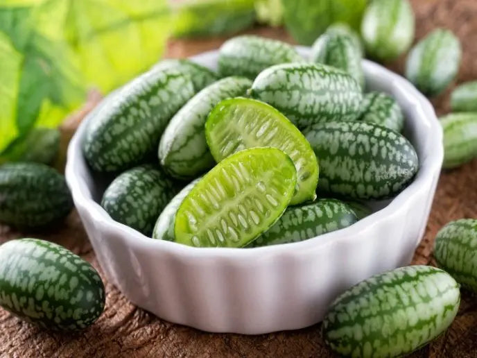 CucaMelon™ – Semillas de Sandía de ratón