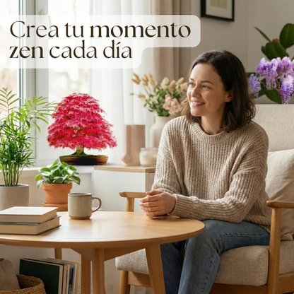 EasyBonsai: Kit de 4 Bonsais para cultivar