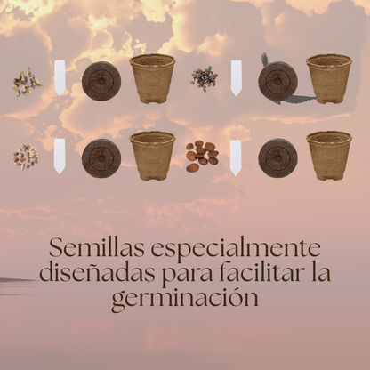 EasyBonsai: Kit de 4 Bonsais para cultivar