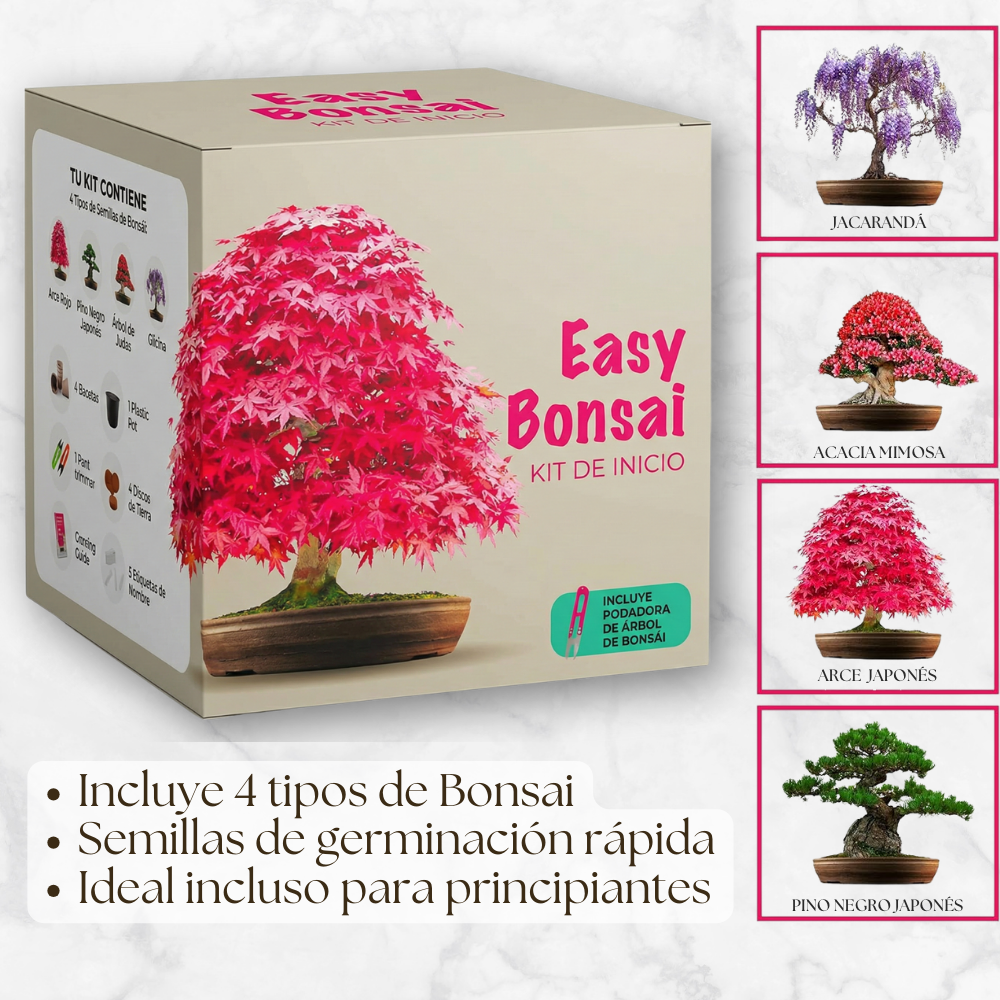 EasyBonsai: Kit de 4 Bonsais para cultivar
