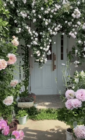 giphy__PID:281e094f-203d-47c0-b837-f9d5c5a5cc94