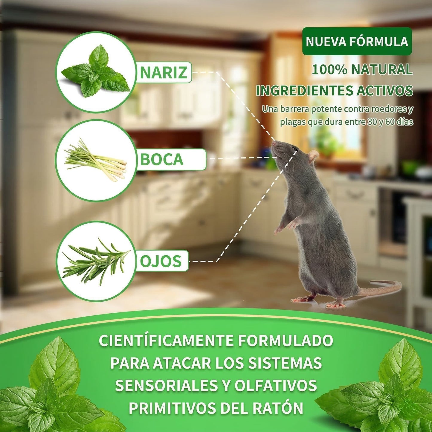 PestStop | Pastillas AntiPlagas Repelentes de Roedores